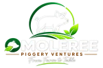 Omoleree Piggery